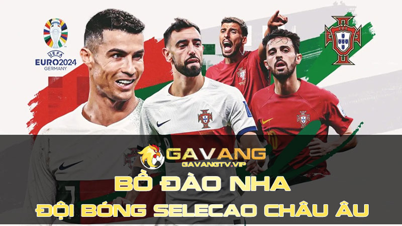 Đội Tuyển Bồ Đào Nha - Đội Bóng Với Biệt Danh Selecao Châu Âu