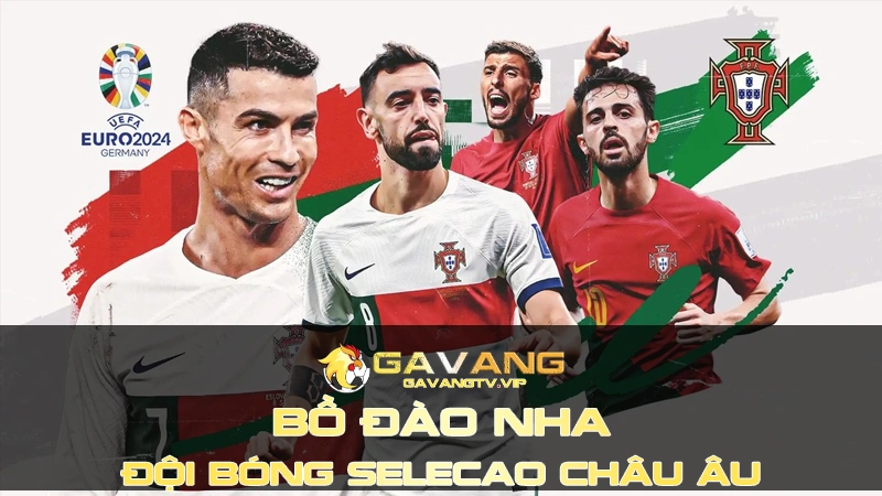 Đội Tuyển Bồ Đào Nha - Đội Bóng Với Biệt Danh Selecao Châu Âu