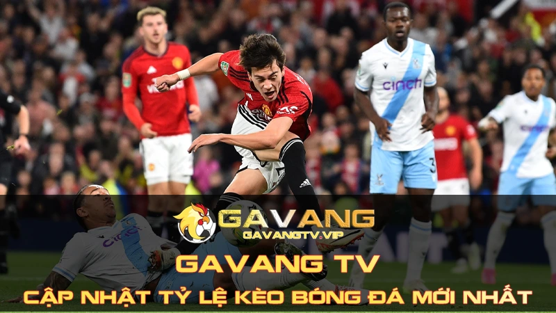 Gavang TV Cập Nhật Tỷ Lệ Kèo Bóng Đá Nhanh Và Mới Nhất 2024