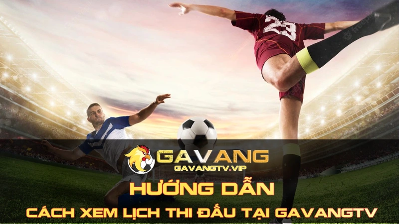 Hướng dẫn cách xem lịch thi đấu tại gavangtv