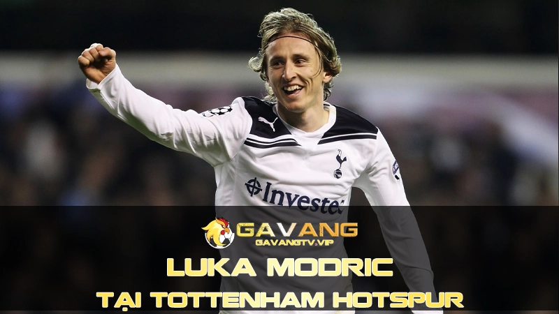 Câu lạc bộ bóng đá Tottenham Hotspur