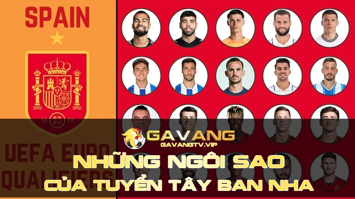 Những ngôi sao của tuyển Tây Ban Nha