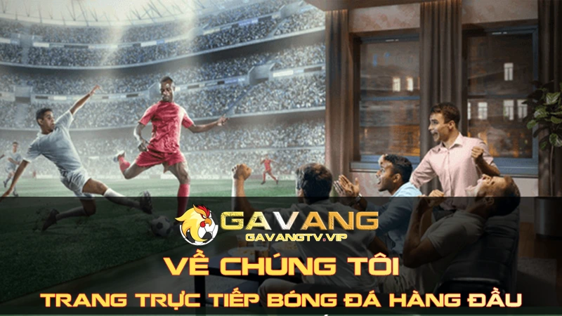 Giới thiệu về chúng tôi - Trang web Gavang TV